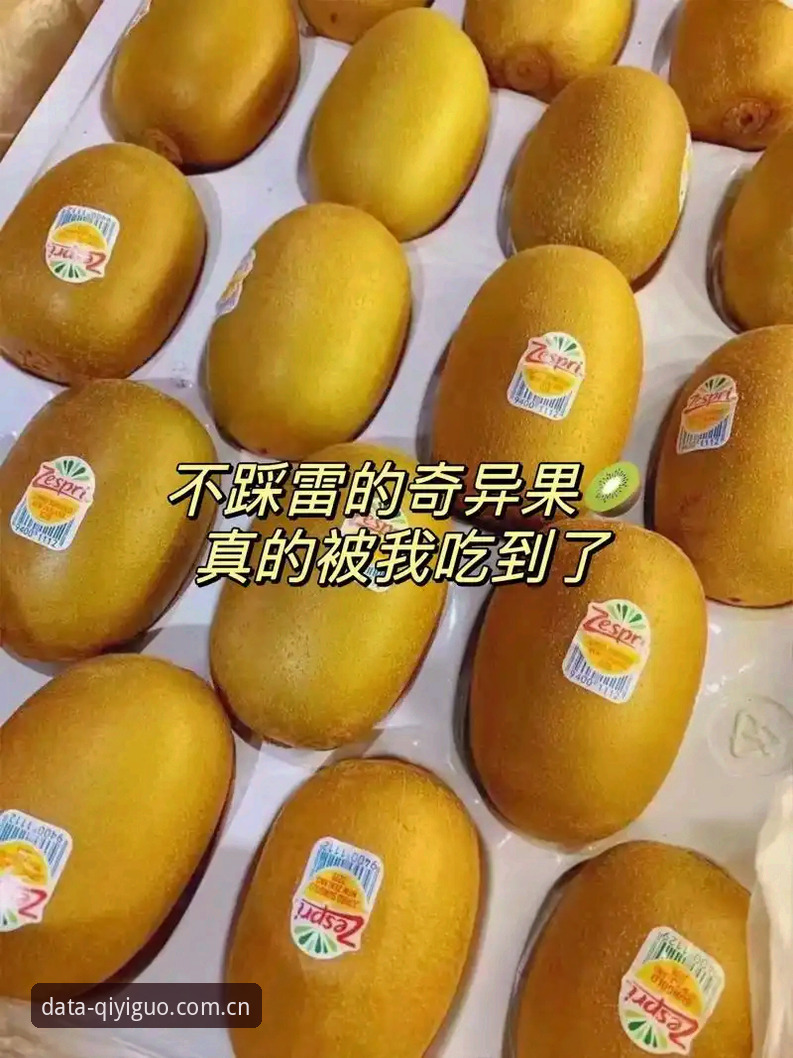 奇异果体育赛事查询下载不了怎么办？2024最新解决方案与用户实操反馈