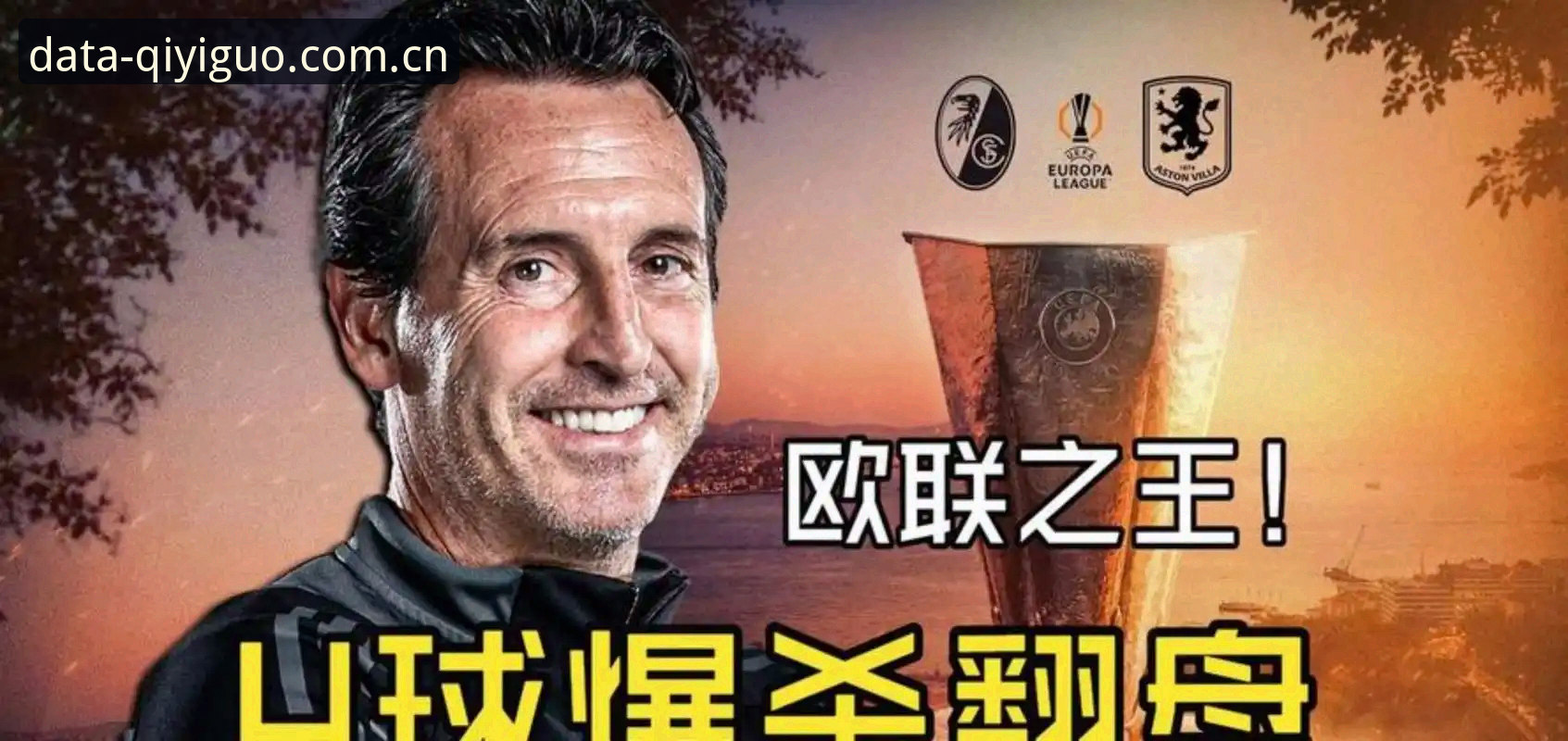 资深用户分享：奇异果体育深度解析阿斯顿维拉欧联杯夺冠，30年等待背后的数据密码